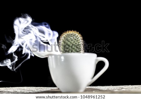 Cactus in white ceramic cup in front of  power of color white smoke on black background . Idea of power and high energy to fulfill powerful of nature concept.