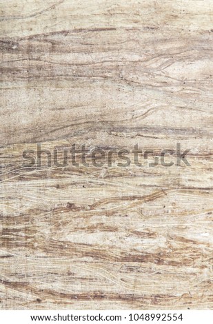 background: structure the surface of an old sheet of papyrus ,vertical