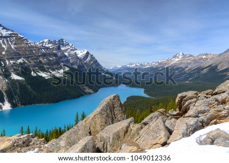 View of Peyto Lake with Snow capped Mountains in Banff National Park, Alberta, Canada