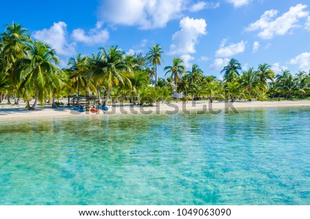 Belize Cayes - Small tropical island at Barrier Reef with paradise beach - known for diving, snorkeling and relaxing vacations - Caribbean Sea, Belize, Central America Royalty-Free Stock Photo #1049063090