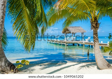 Belize Cayes - Pier on small tropical island at Barrier Reef with paradise beach - known for diving, snorkeling and relaxing vacations - Caribbean Sea, Belize, Central America Royalty-Free Stock Photo #1049065202