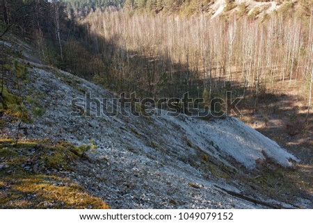 Spring. Forest on the slope of the Cretaceous mountain and thin birches below. The play of light and shadow.