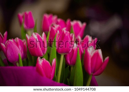 a bunch of pink tulips