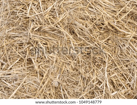dry straw for background