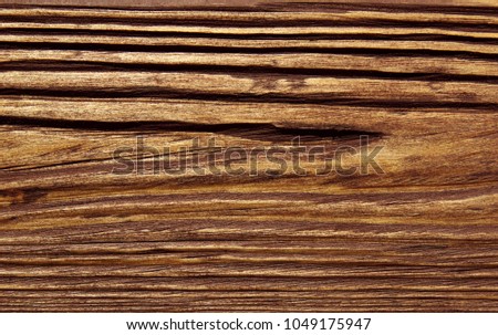 wood old texture with natural pattern