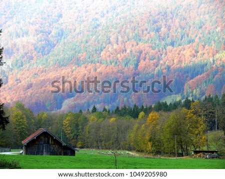 Wooden hut on the edge of the forest in autumn,