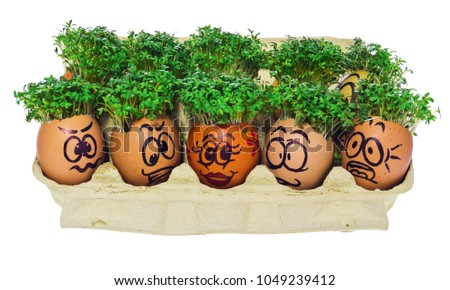 Easter egg painted in a funny smiley face and colorful patterns with cress like hair in a cardboard container for eggs. The watercress stylized for the hairstyle of the character. Egg in multicolored