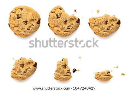 Six steps of chocolate chip cookie with pecan nuts being devoured. Sequence isolated on white background. Royalty-Free Stock Photo #1049240429
