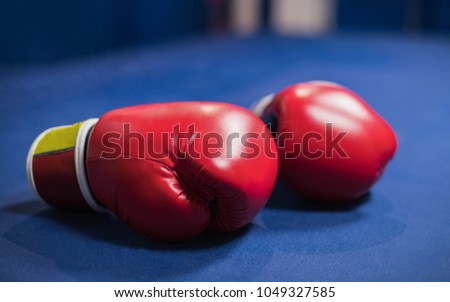 Boxing gloves are on the blue floor of the ring