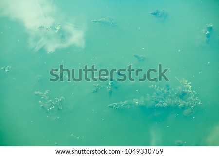 green dirty lake for nature background
