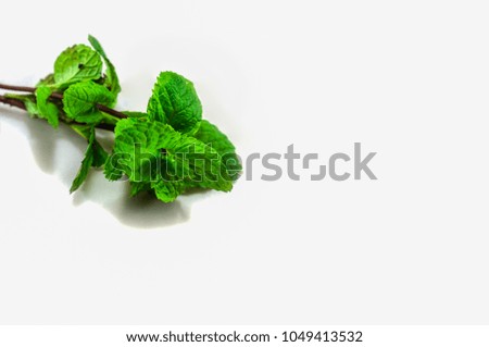 Peppermint leaves, on white ground with copy space.
Medicinal herbs are refreshing and relaxing.