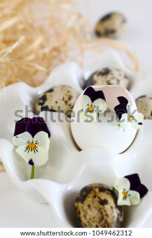 Easter background with egg shells and pansies
