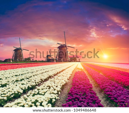 The road leading to the Dutch windmills from the canal in Rotterdam. Holland. Netherlands