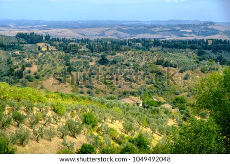 Landscape at summer near Volterra, Pisa, Tuscany, Italy