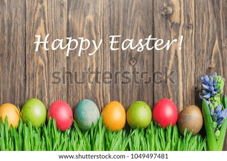 Easter colorful eggs in green grass. Festive decoration. Happy Easter!