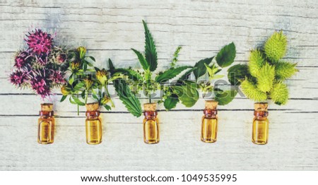 medicinal herbs. Selective focus.