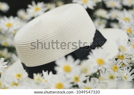 white hat to on the flowers of daisies.