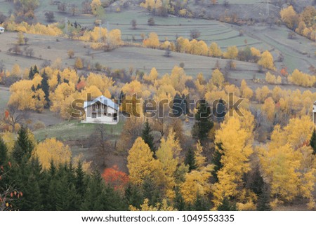 
autumn landscapes.artvin /savsat