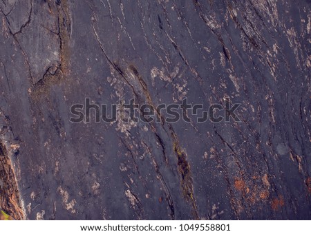 Close up texture of wood use as natural background
