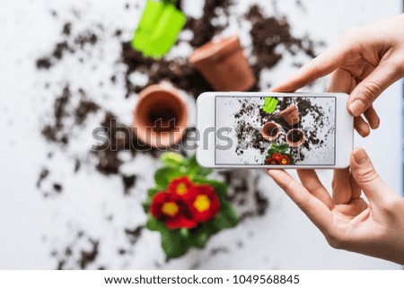 Planting seedlings composition. Female hands holding a smartphone.