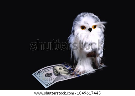 Toy cute eagle owl with yellow eyes sits on a bill of $ 100 on a black background