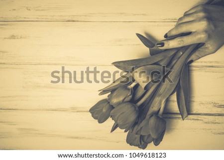 Beautiful flowers on a wooden white background