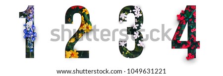 Flowers number 1, 2, 3, 4 made of Real alive flower with Precious paper cut shape of number. Collection of brilliant flora number for your unique decoration  in spring, summer or several concept ideas Royalty-Free Stock Photo #1049631221