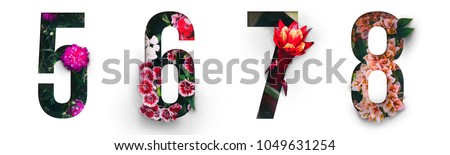 Flowers number 5, 6, 7, 8 made of Real alive flower with Precious paper cut shape of number. Collection of brilliant flora number for your unique decoration  in spring, summer or several concept ideas Royalty-Free Stock Photo #1049631254