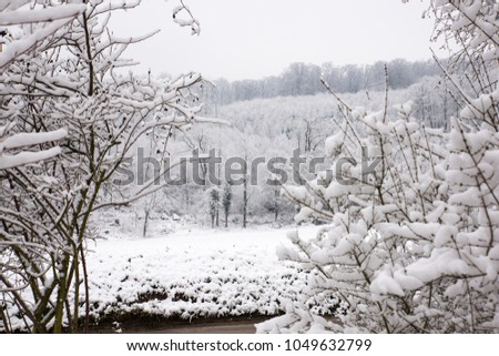 snow ladscape in switzerland