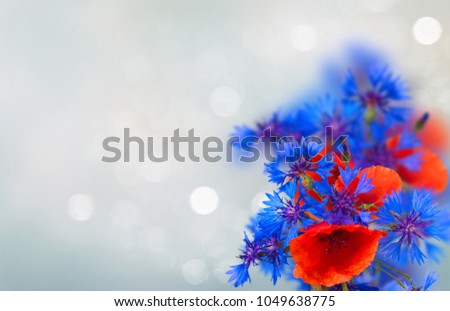 summer field flowers bouquet on gray bokeh background with copy space