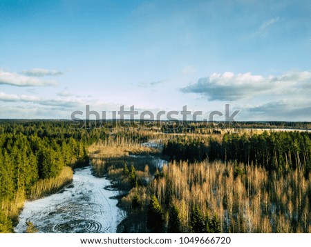 Aerial Photography of a Bright Forest in Sunny Winter Day with a nice Blue Skies in the Background