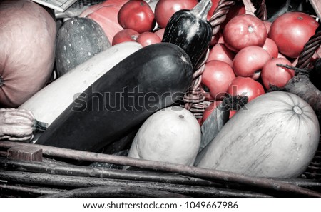 A variety of vegetables: tomatoes, potatoes, pumpkins, squash, corn, corn, apples presented for sale at the fair