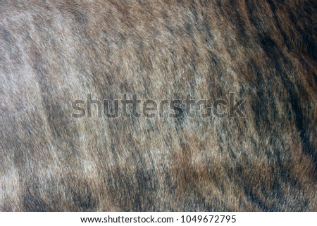 Animal skins are made of The cow has a beautiful black and white pattern and also has its own spot. Soft feathers are used to make warm clothes for the body in winter.