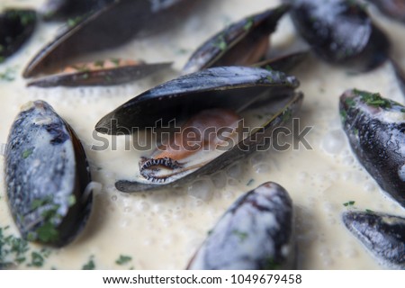 Stewed mussels in wine in a frying pan