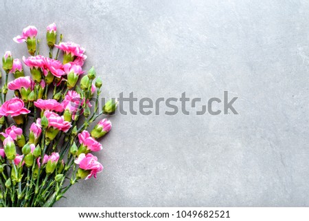 Cloves bouquet, mothers day background, spring flowers on grey surface with copy space