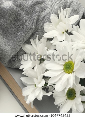 shabby chrysanthemum flowers wallpaper. white daisies roses on grey background