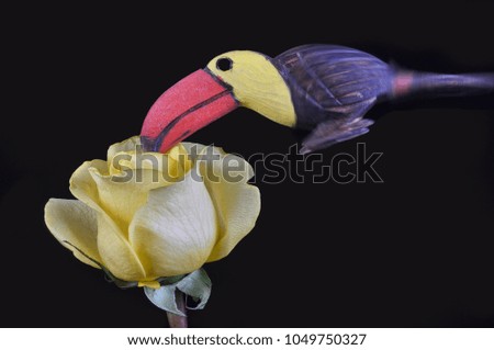 Toucan of wood with the body resembling movement of wings with the beak introduced in a beautiful yellow rose on a black background.
