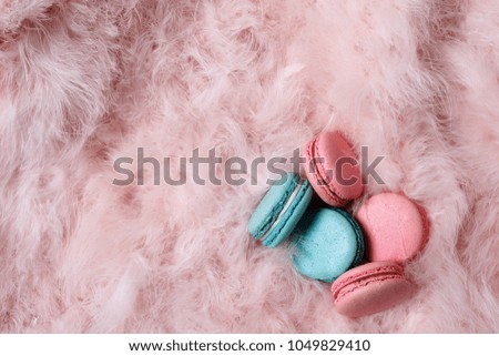 pink blue macaroni lie on a textured pink background of fluffy feathers with a blank space under the text