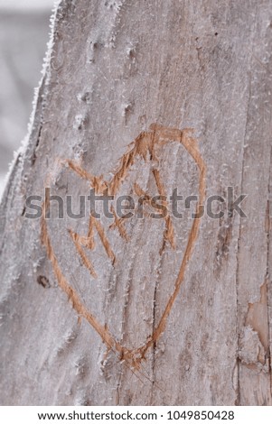Lovers signature on frozen tree