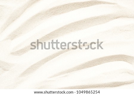 Sand texture. Sandy beach close-up for background. Top view