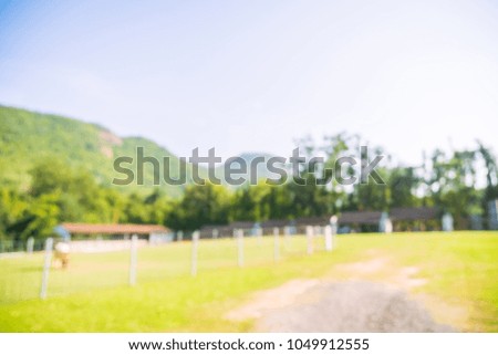 Abstract blur park with green field for background