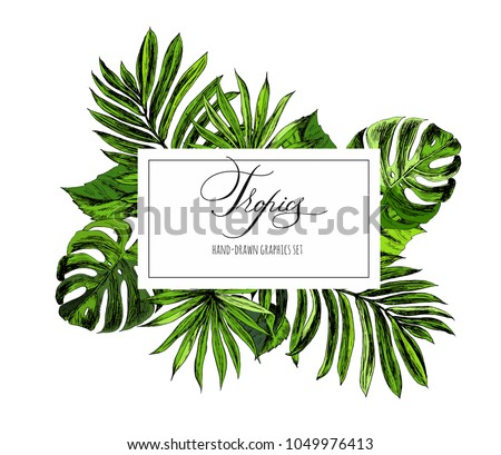 Tropical flowers and leaves on the background. Set of hand-drawn tropical plants. For wedding invitations, cards greetings and other
