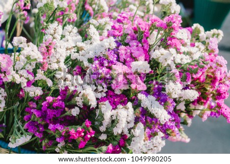 Flowers that combine white, pink and purple flowers together in a bouquet of beautiful and suitable to be a gift and souvenir for those special occasions. Or give it to each other on Valentine's Day.