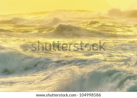 Waves of North Shore