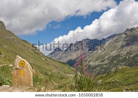 Painted way marker in an idyllic mountain valley of Mont Blanc massif