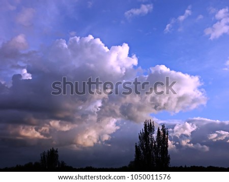 Colorful sky with clouds above the forest at sunset.