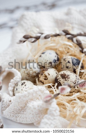 easter quail eggs with pussy willow on white table