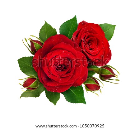 Floral composition with red rose flowers and buds isolated on white background. Flat lay. Top view.