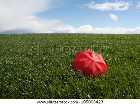 Red umbrella on the green meadow