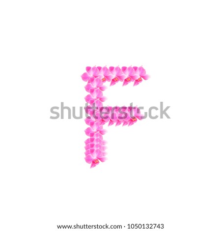 orchid alphabet flower on white background